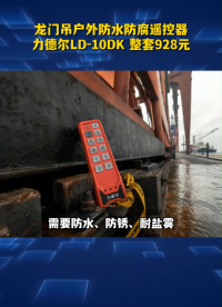 龙门吊户外防水防腐遥控器,力德尔LD-10DK 整套928元#工业遥控器 