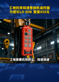 工地抗摔双速卷扬机遥控器，力德尔LD-8DK 整套858元#工业遥控器 