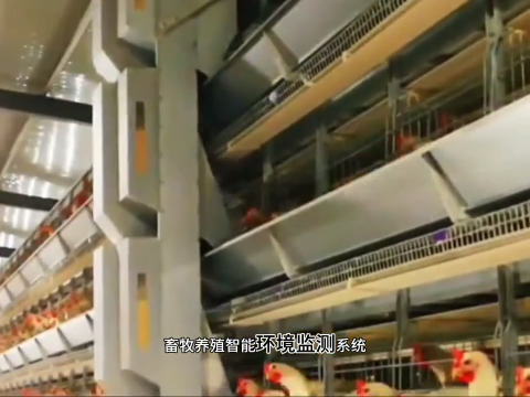 畜牧业养殖智能环境监测系统