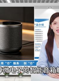 智能音箱触摸按键运用 #硬核拆解 #电子工程师 #造物大赏 