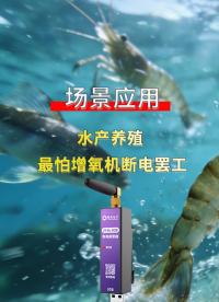 4G断电报警器：鱼塘断电报警，一秒快速告警提醒#农业物联网 #plc #物联网 #电工 