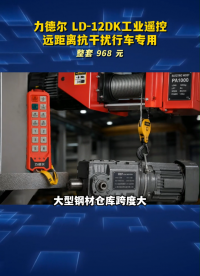 力德尔 LD-12DK工业遥控，远距离抗干扰行车专用#工业遥控器 