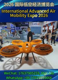 🔋2026 低空经济博览会圆满落幕
✈️大核电池团队观展研学促交流
🤝对接海内外客商共探锂电新技术
⚡深耕