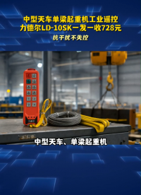 中型天车单梁起重机工业遥控，力德尔LD-10SK一发一收728元#工业遥控器 