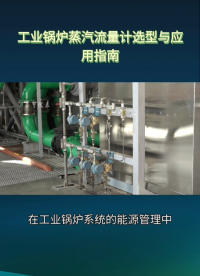 工业锅炉蒸汽流量计选型与应用指南#农业物联网 #专科生 #plc教学 #警车灯电路 #溶氧仪校准 #智慧能源 