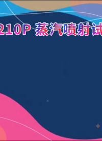 傲颖- AY-210P 蒸汽喷射试验机ISO 16925、PV1503-C-符合检测标准
