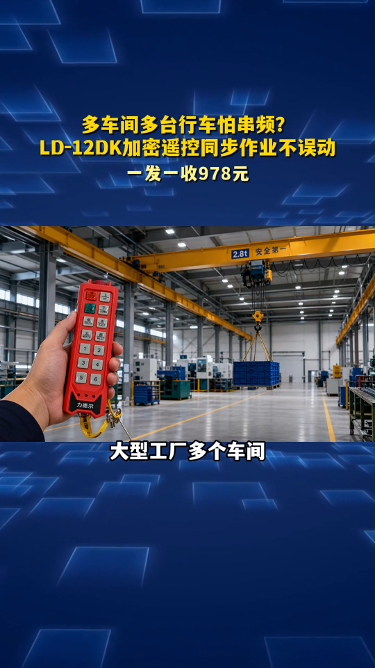 多车间多台行车怕串频？LD-12DK加密遥控同步作业不误动#工业遥控器 