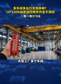 多车间多台行车怕串频？LD-12DK加密遥控同步作业不误动#工业遥控器 