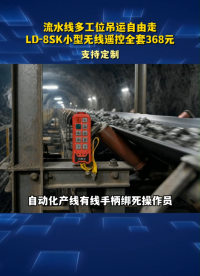 流水线多工位吊运自由走，LD-8SK小型无线遥控全套368元#工业遥控器 