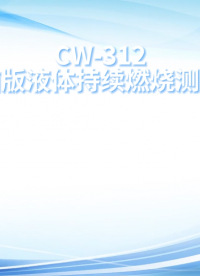 诚卫 CW-312 电脑版液体持续燃烧测试仪 技术参数