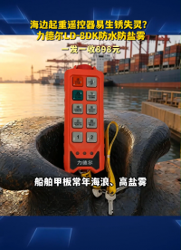 海边起重遥控器易生锈失灵？力德尔LD-8DK防盐雾一发一收898元#工业遥控器
 
