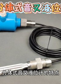 分体式音叉液位计的特点