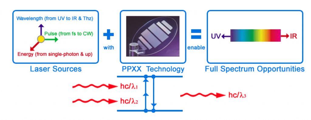 PPXX Bulk Chips