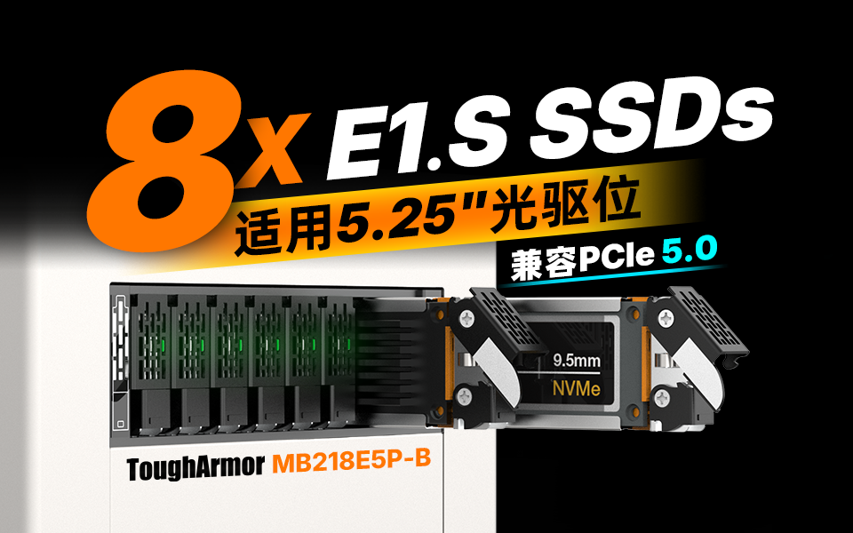 5.25寸笼中兽：8盘E1.S高密度存储，榨干Gen5带宽 #装机 #NAS #NVMe #PCIe5 