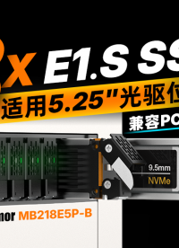 5.25寸笼中兽：8盘E1.S高密度存储，榨干Gen5带宽 #装机 #NAS #NVMe #PCIe5 