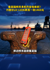 集装箱桥吊多机作业怕串扰？力德尔LD‑12DK两发一收1468元#go 