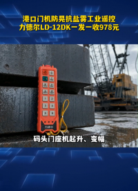 港口门机防晃抗盐雾工业遥控，力德尔LD‑12DK一发一收978元#工业遥控器 