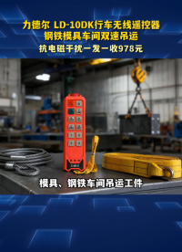 钢铁模具车间吊运对位不准？LD‑10DK 双速行车遥控，一发一收978 元#工业遥控器 