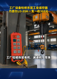 工厂设备检修吊装工业遥控器,力德尔LD-8SK一发一收368元#工业遥控器 