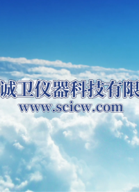 诚卫 CW-Z159 输尿管固定强度测试仪 技术特征
