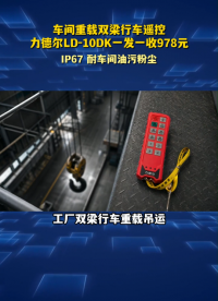 车间重载双梁行车遥控，力德尔LD-10DK一发一收978元#工业遥控器 