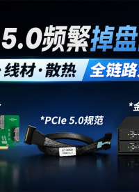 PCIe 5.0部署避坑：信号、线材、散热，一套方案全搞定 #PCIe5 #固态硬盘 #装机避坑 #电脑硬件 
