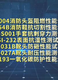 CSI-Z193一氧化碳防护性能测试仪：客户到访上海程斯考察设备