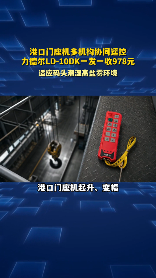 港口门座机多机构协同遥控，力德尔LD-10DK一发一收978元#工业遥控器 
