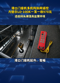 港口门座机多机构协同遥控，力德尔LD-10DK一发一收978元#工业遥控器 