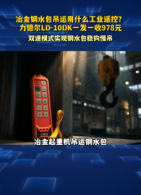 冶金钢水包吊运用什么工业遥控？力德尔LD-10DK一发一收978元#工业遥控器 