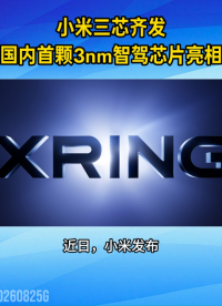 小米三芯齐发，国内首颗3nm智驾芯片正式亮相#国产芯片突破#科技快讯‌#小米玄戒芯片#3nm芯片#智能驾驶
 