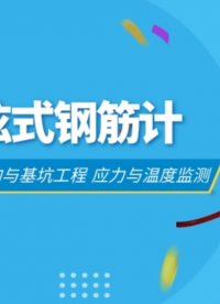 混凝土结构与基坑工程 钢筋应力计 应力与温度监测