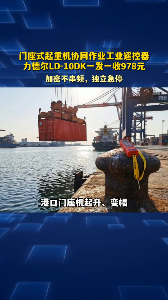 门座式起重机协同作业工业遥控器，力德尔LD-10DK一发一收978元#工业遥控器 