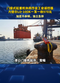 门座式起重机协同作业工业遥控器，力德尔LD-10DK一发一收978元#工业遥控器 