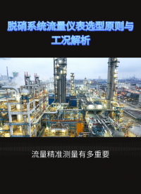 脱硝系统流量仪表选型原则与工况解析#农业物联网 #专科生 #plc教学 #警车灯电路 #溶氧仪校准 #手套箱 