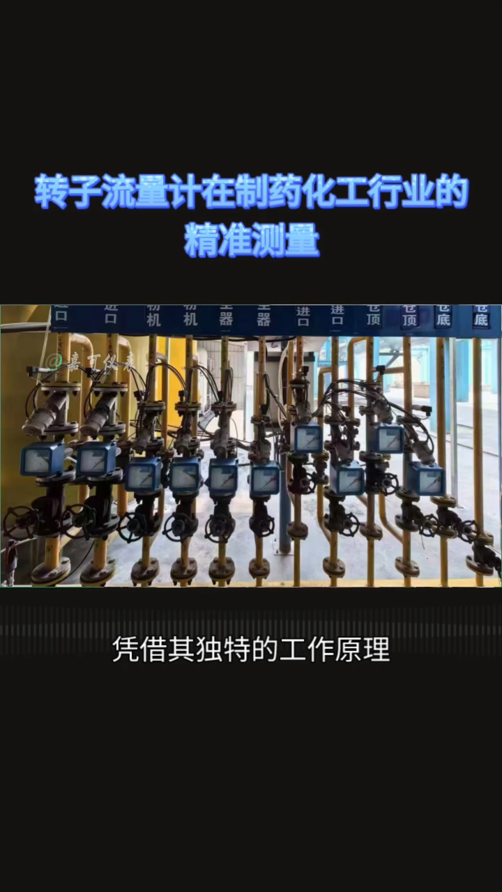 转子流量计在制药化工行业的精准测量#农业物联网 #专科生 #plc教学 #警车灯电路 #溶氧仪校准 #手套箱 
