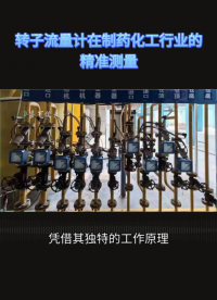 转子流量计在制药化工行业的精准测量#农业物联网 #专科生 #plc教学 #警车灯电路 #溶氧仪校准 #手套箱 