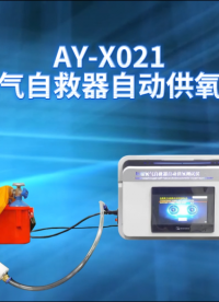 傲颖-AY-X021压缩氧气自救器自动供氧测试仪GB24502-2023-技术特征