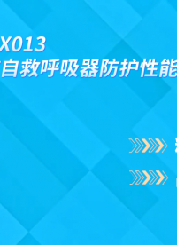 诚卫 CW-X013 煤矿自救呼吸器防护性能测试仪 现货销售