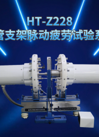 HT-Z228 血管支架脉动疲劳试验系统 YY/T 0808-2010 讲解技术