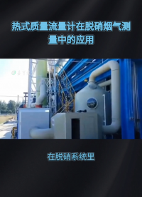 热式质量流量计在脱硝烟气测量中的应用#农业物联网 #专科生 #plc教学 #警车灯电路 #溶氧仪校准 #眼图 