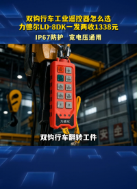 双钩行车工业遥控器怎么选？力德尔LD-8DK一发两收1338元#工业遥控器 