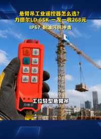 悬臂吊工业遥控器怎么选？力德尔LD-6SK 一发一收268元#工业遥控器 