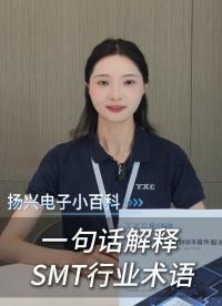 一句话解释SMT行业术语 #科普 #电子 #硬件工程师 #电路设计 