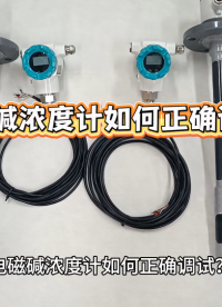 电磁碱浓度计如何正确调试？