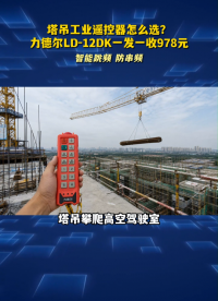 塔吊工业遥控器怎么选？力德尔LD-12DK一发一收978元#工业遥控器 