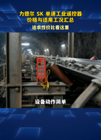 力德尔SK单速工业遥控器价格与适用工况汇总#工业遥控器 