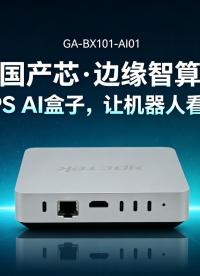 「国产芯・边缘智算」48TOPS AI盒子，让机器人看懂世界#工控机 #国产工控机 #AI工控机 