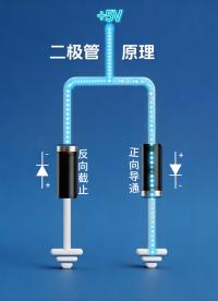 二极管｜电子世界的单向阀门#电子电路知识 #电子电路基础 #原理图 #电子元件科普 #电子元件知识 