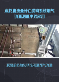 皮托巴流量计在脱硝系统烟气流量测量中的应用#农业物联网 #手套箱 #车间油烟净化 #plc教学 #警车灯电路 